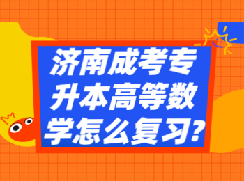 济南成考专升本