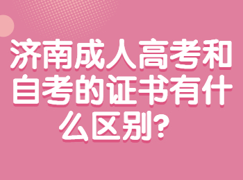 济南成人高考