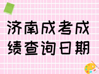 济南成考成绩查询