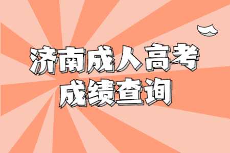 济南成人高考成绩查询