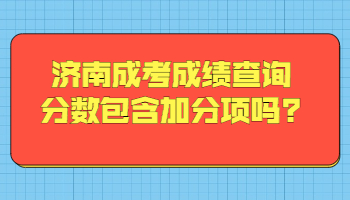 济南成考成绩查询