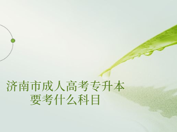 济南市成人高考专升本