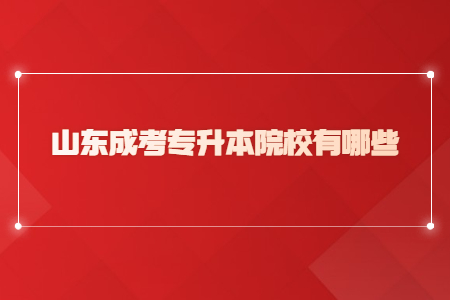 山东成考专升本院校有哪些？