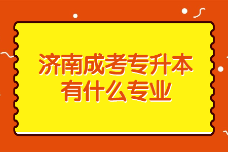 济南成考专升本有什么专业？