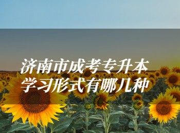济南市成考专升本学习形式