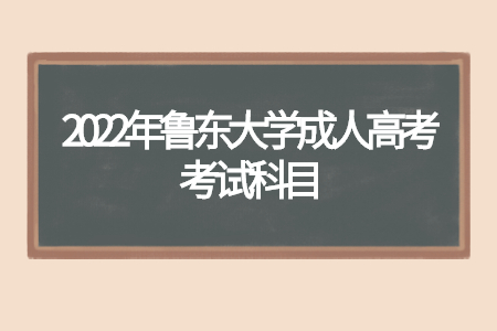 2022年鲁东大学成人高考考试科目