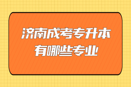 济南成考专升本有哪些专业？