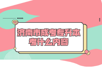 济南市成考专升本