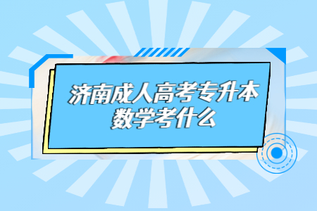 济南成人高考专升本数学考什么?