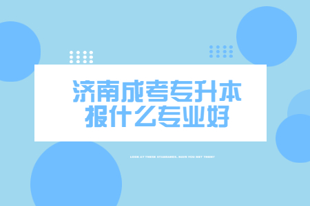 济南成考专升本报什么专业好?