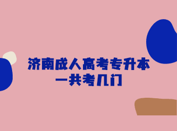 济南成人高考专升本