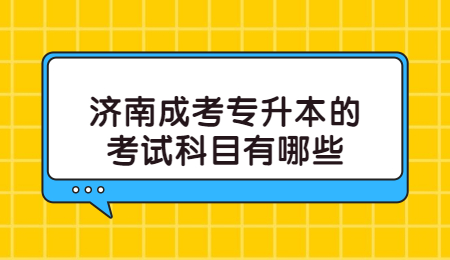 济南成考专升本的考试科目有哪些?