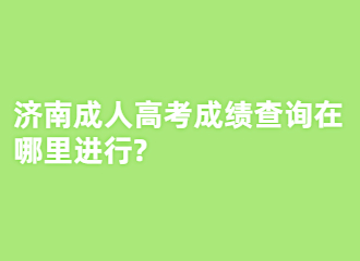 济南成人高考成绩查询在哪里进行?