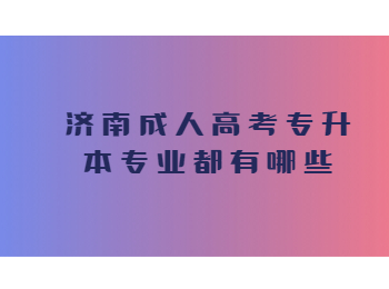 济南成人高考专升本专业