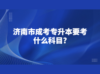 济南市成考专升本 济南市成考